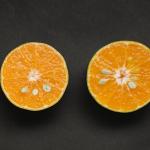 How Technology is Shaping the Future of AEFAB