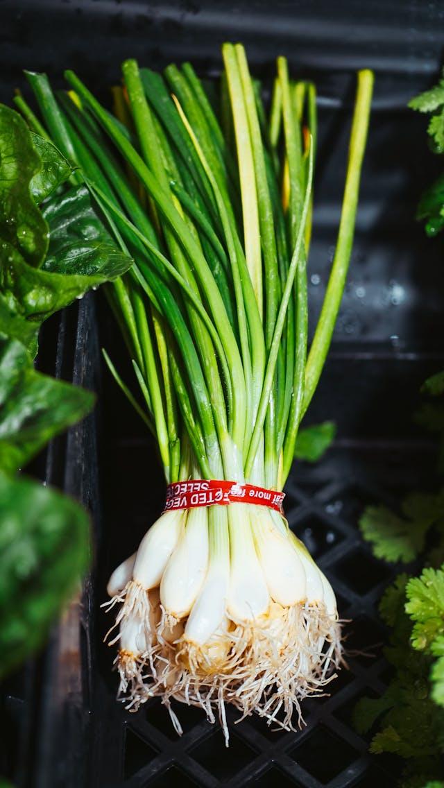 Spring Onions